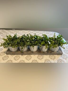 Artificial Eucalyptus Trio in White Marble Planters on wood tray